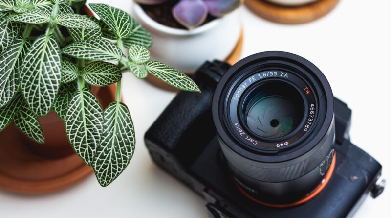 black film camera near green plant with brown pot