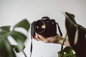 Fotografowanie zwierząt: jak oddać ich osobowość i naturalne środowisko
